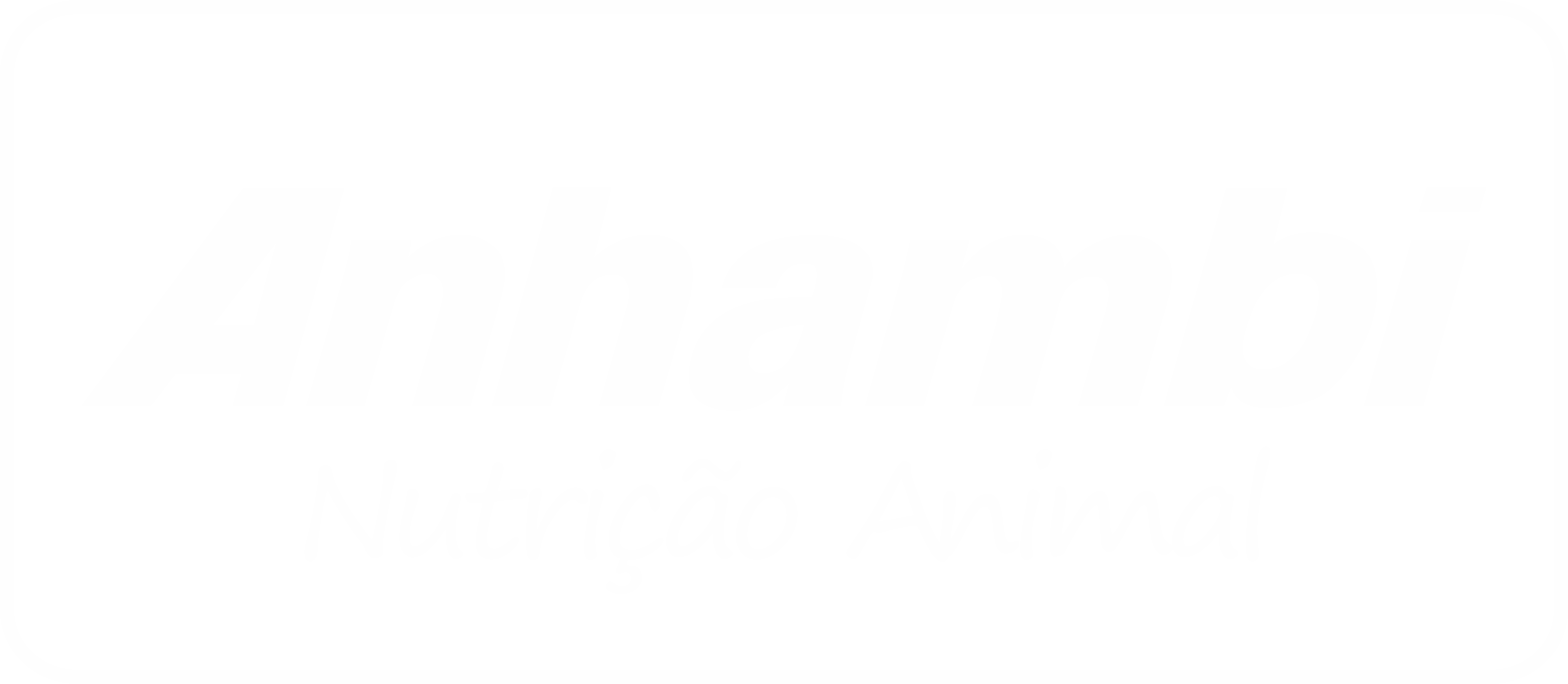 Anhambi Nutrição Animal